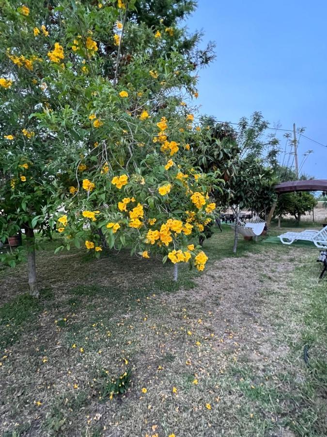 Quinta Dos Viegas Villa FAO Dış mekan fotoğraf